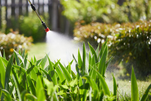 Tamper-Resistant Bait Stations for Rodents in Manning