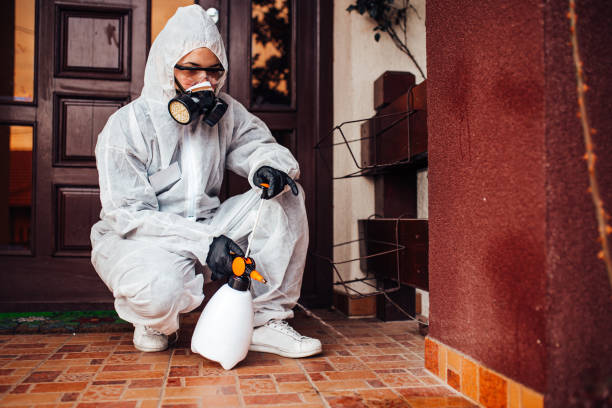 Attic and Crawl Space Rodent Treatment in Manning